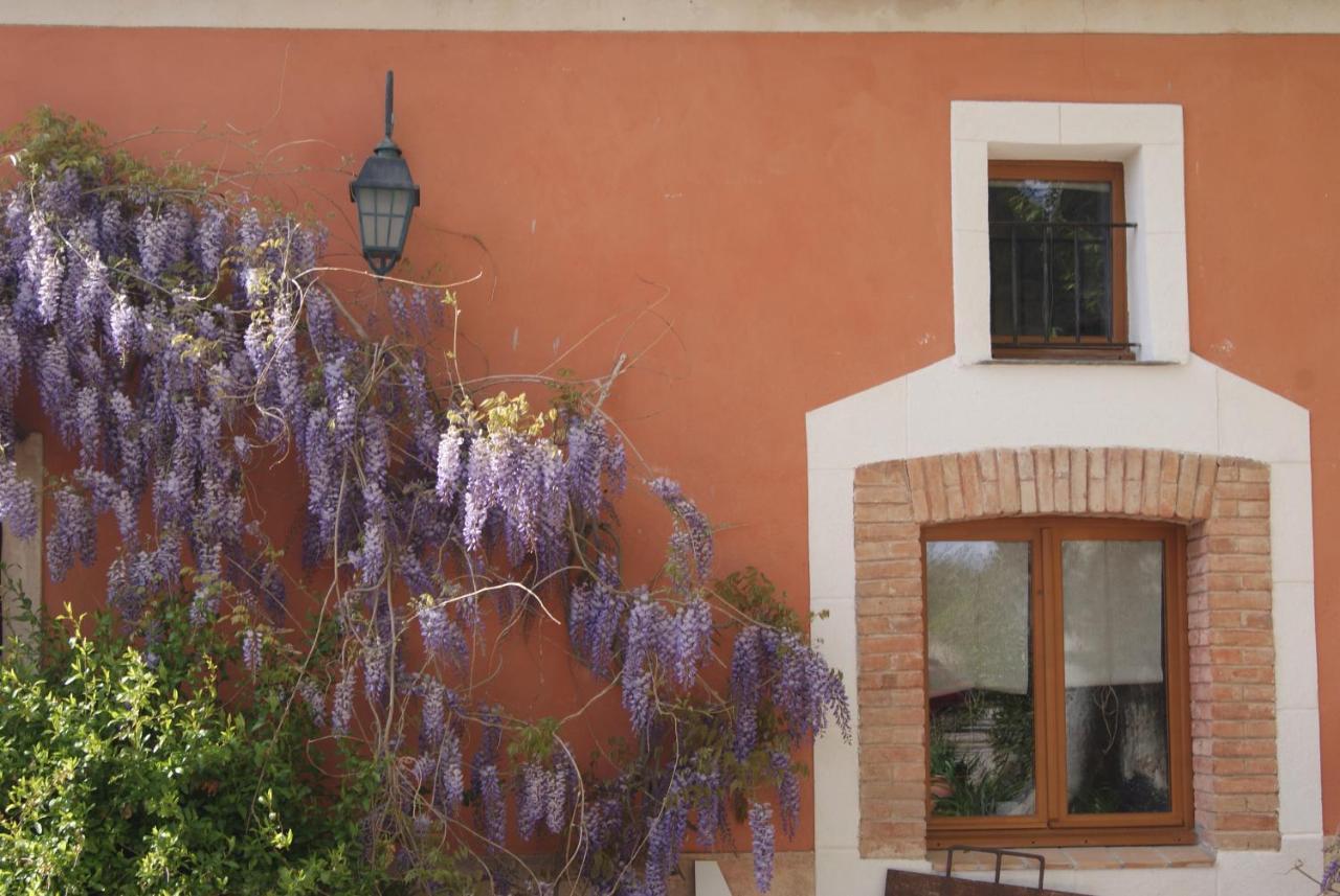 Bed and Breakfast Le Bourguet à Solliès-Pont Extérieur photo