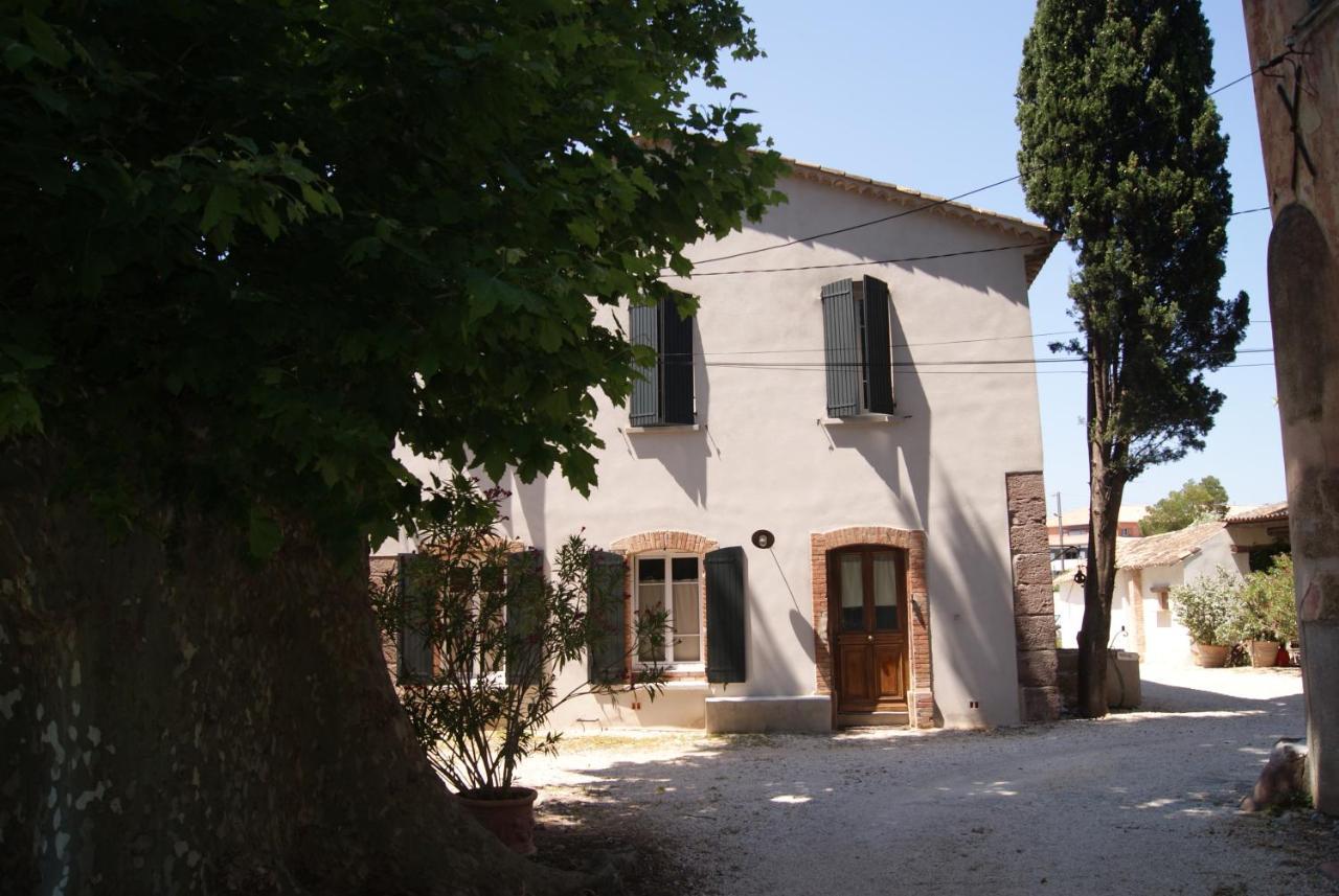 Bed and Breakfast Le Bourguet à Solliès-Pont Extérieur photo
